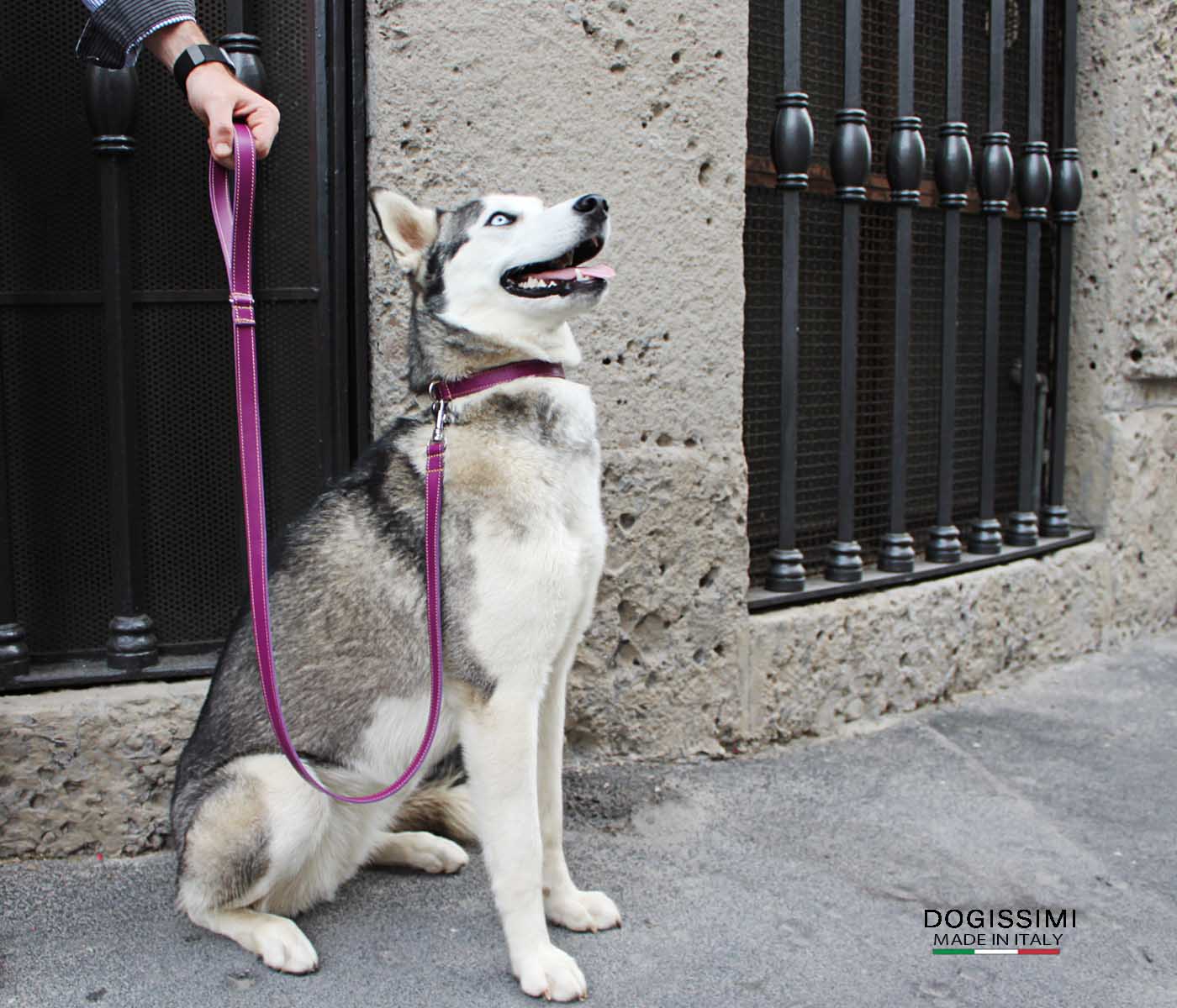 CLASSIC LUX. Genuine Leather Collar