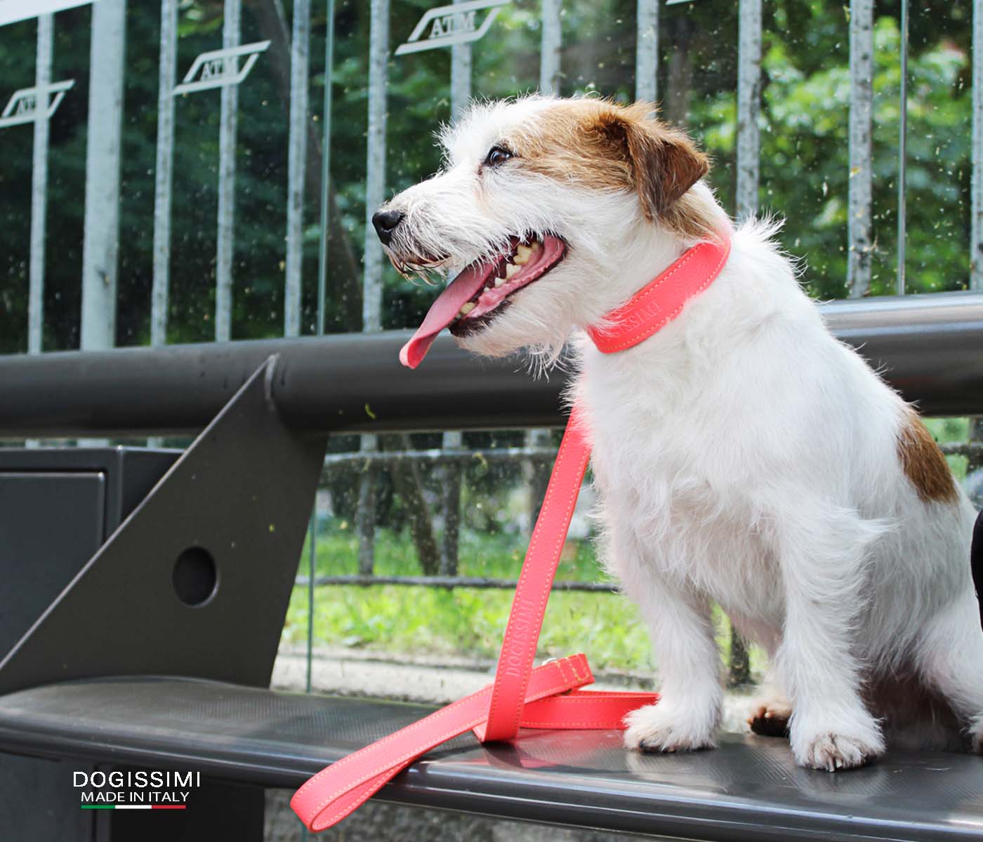 COMFORT. Genuine Leather Collar