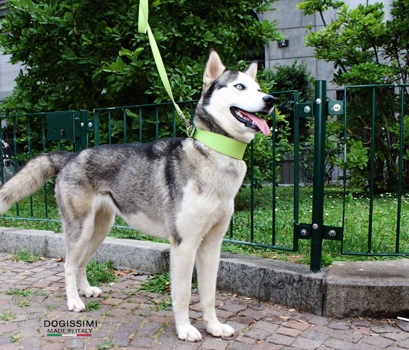 COMFORT. Genuine Leather Collar
