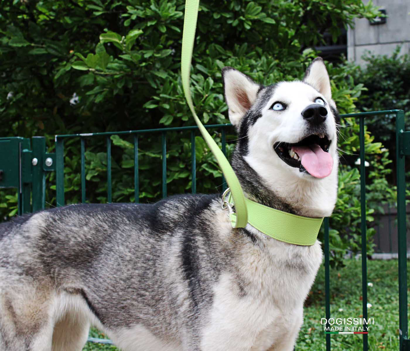 COMFORT. Genuine Leather Collar