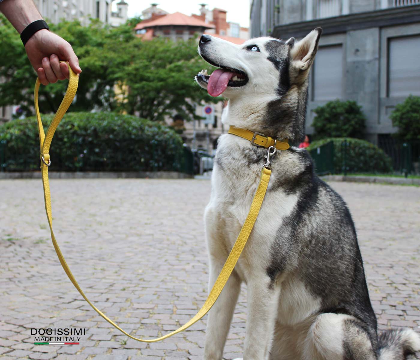 COMFORT. Genuine Leather Collar
