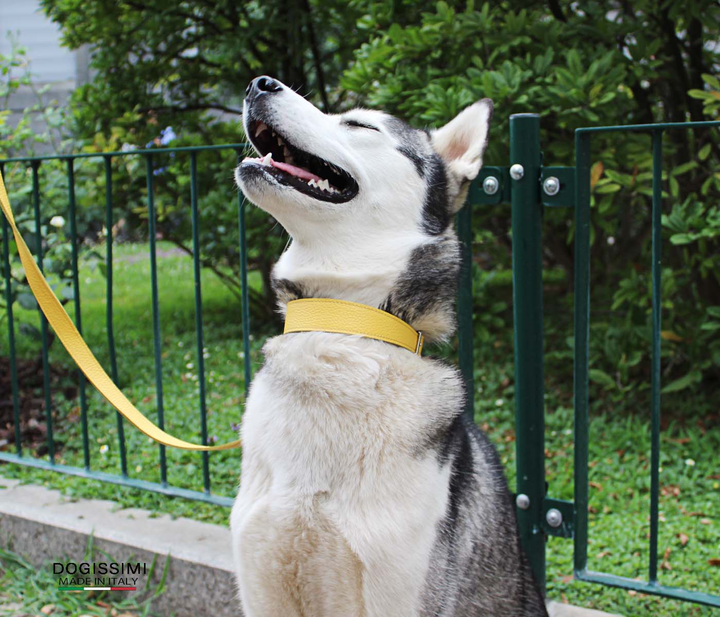 COMFORT. Genuine Leather Collar