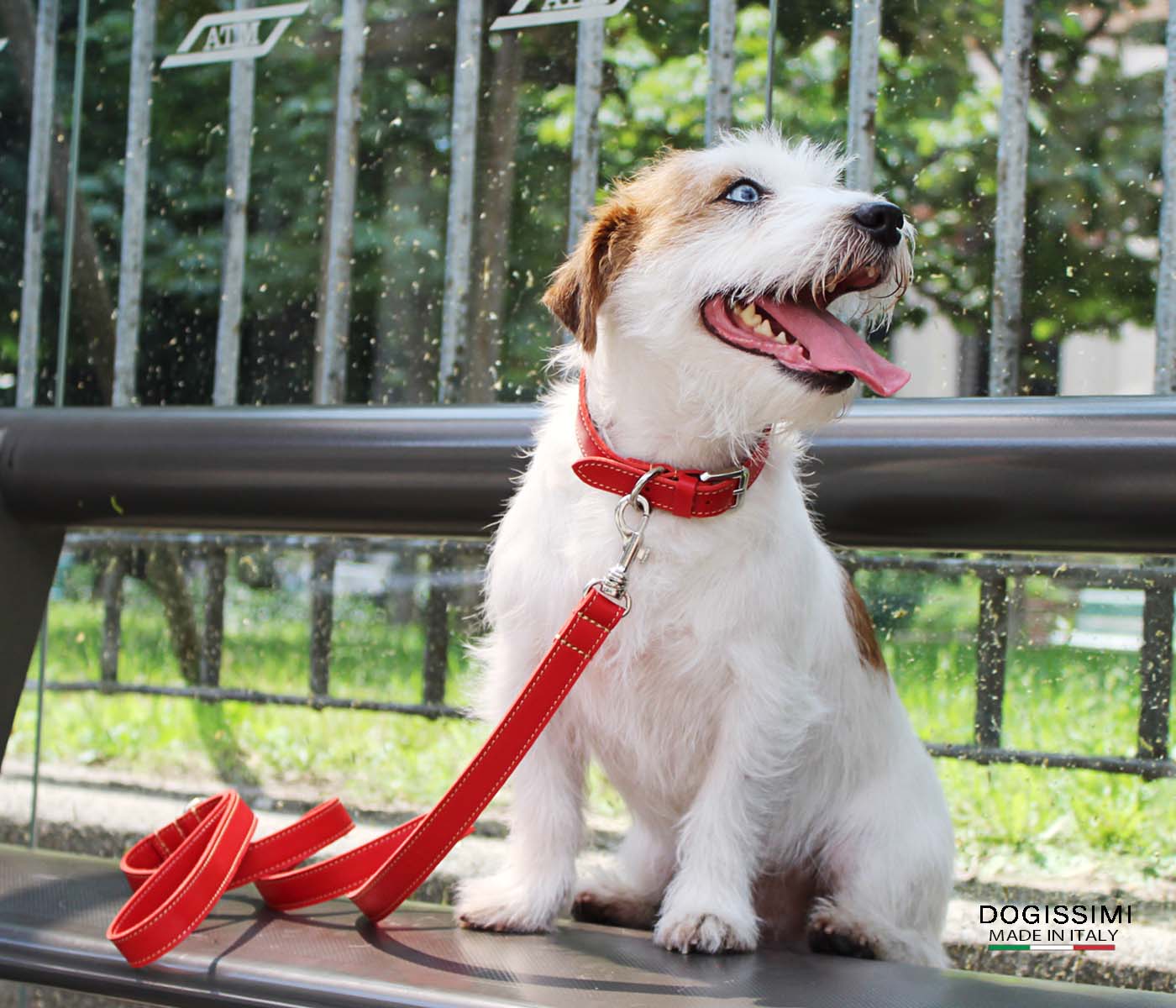 LUXURY COMFORT. Genuine Leather Dog Collar