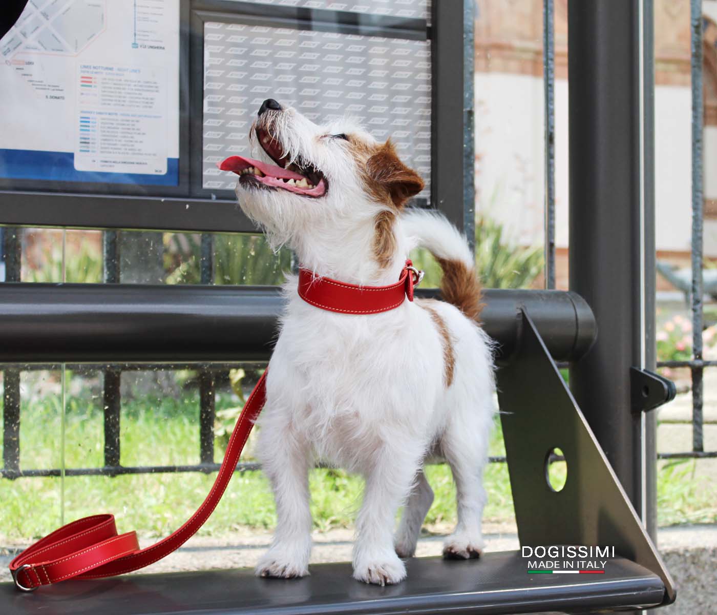 LUXURY COMFORT. Genuine Leather Dog Collar