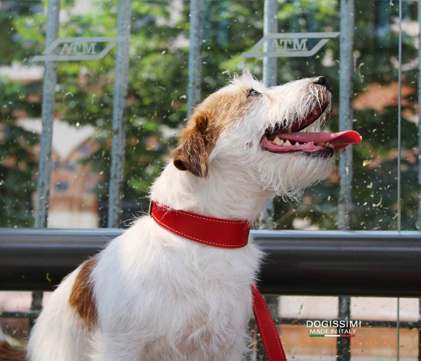 LUXURY COMFORT. Genuine Leather Dog Collar
