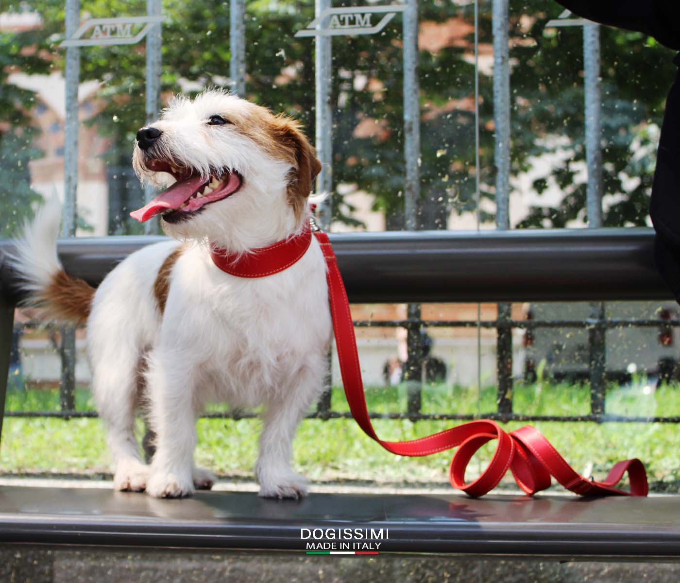 LUXURY COMFORT. Genuine Leather Dog Collar