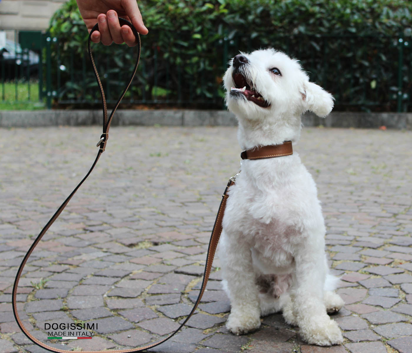 LUXURY COMFORT. Genuine Leather Dog Collar