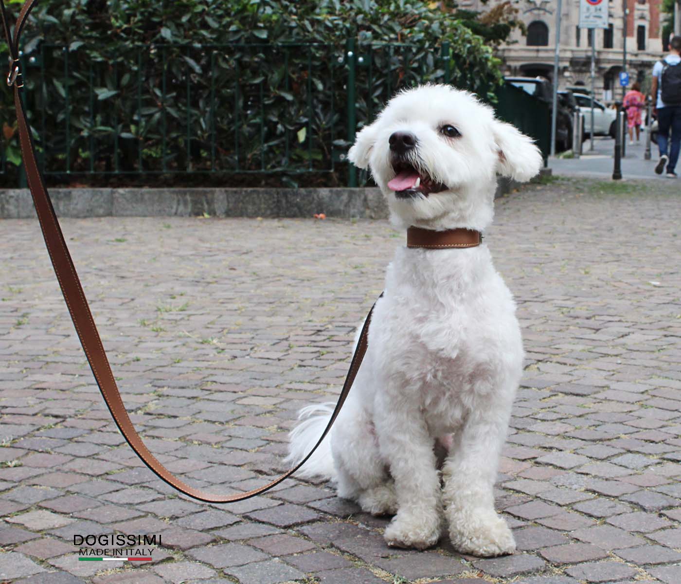 LUXURY COMFORT. Genuine Leather Dog Collar