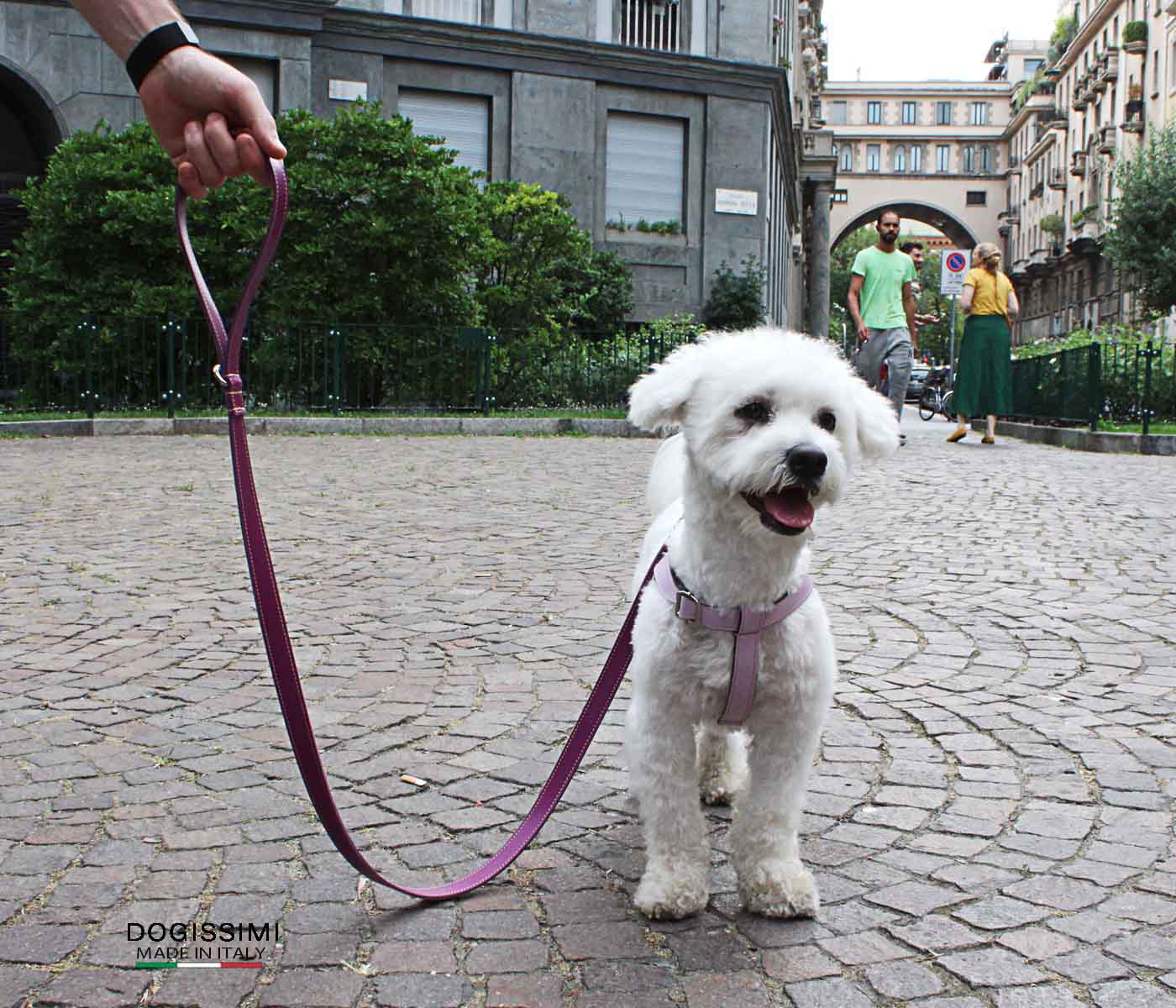 LUX. Genuine Leather Leash