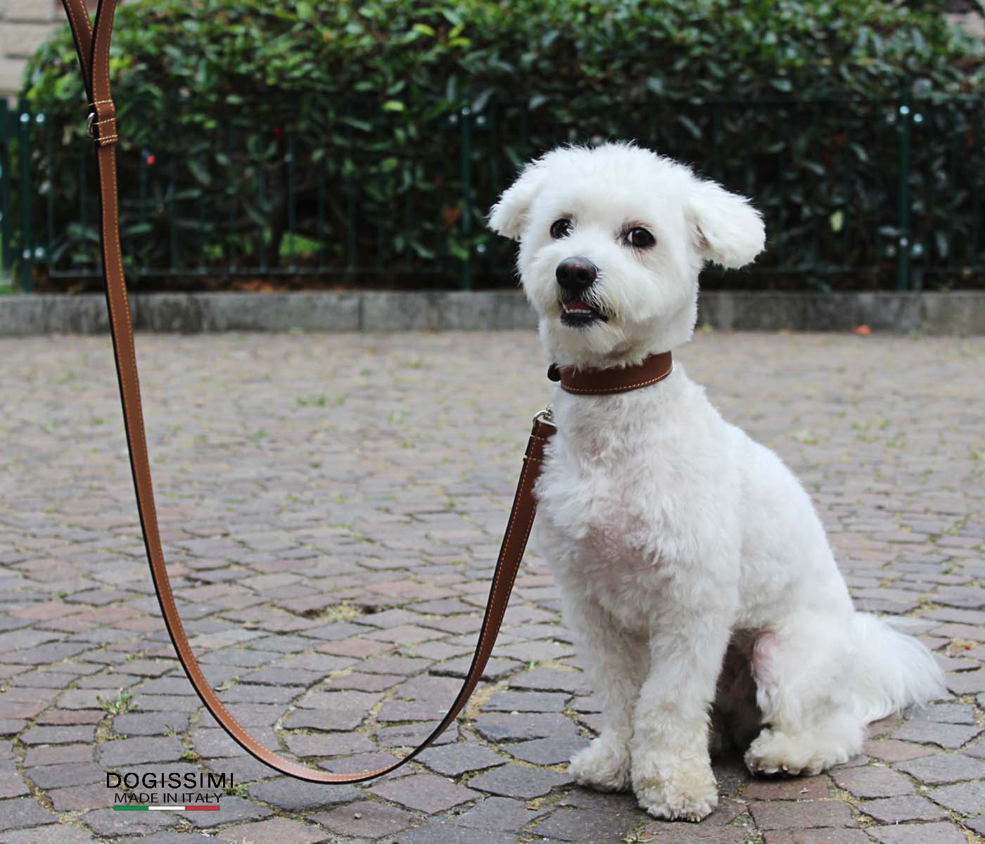 LUX. Genuine Leather Leash