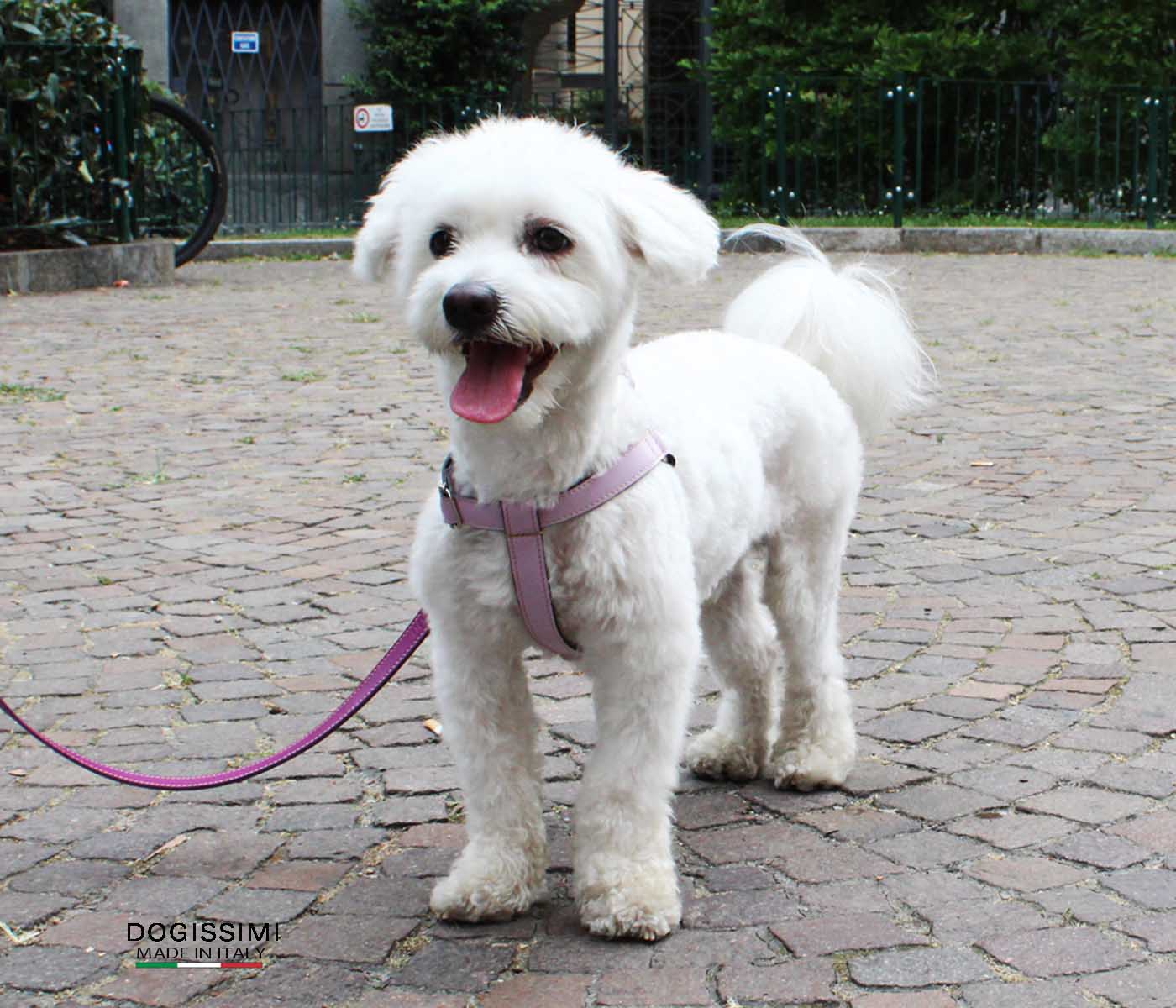 LUX. Genuine Leather Harness