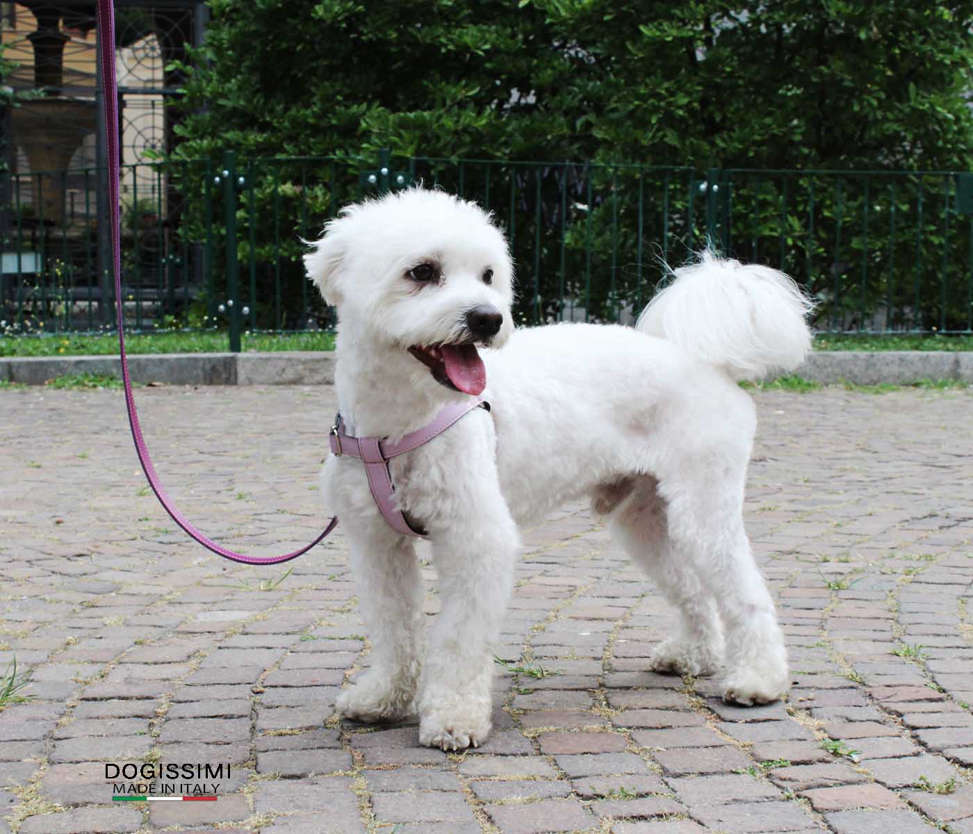 LUX. Genuine Leather Harness