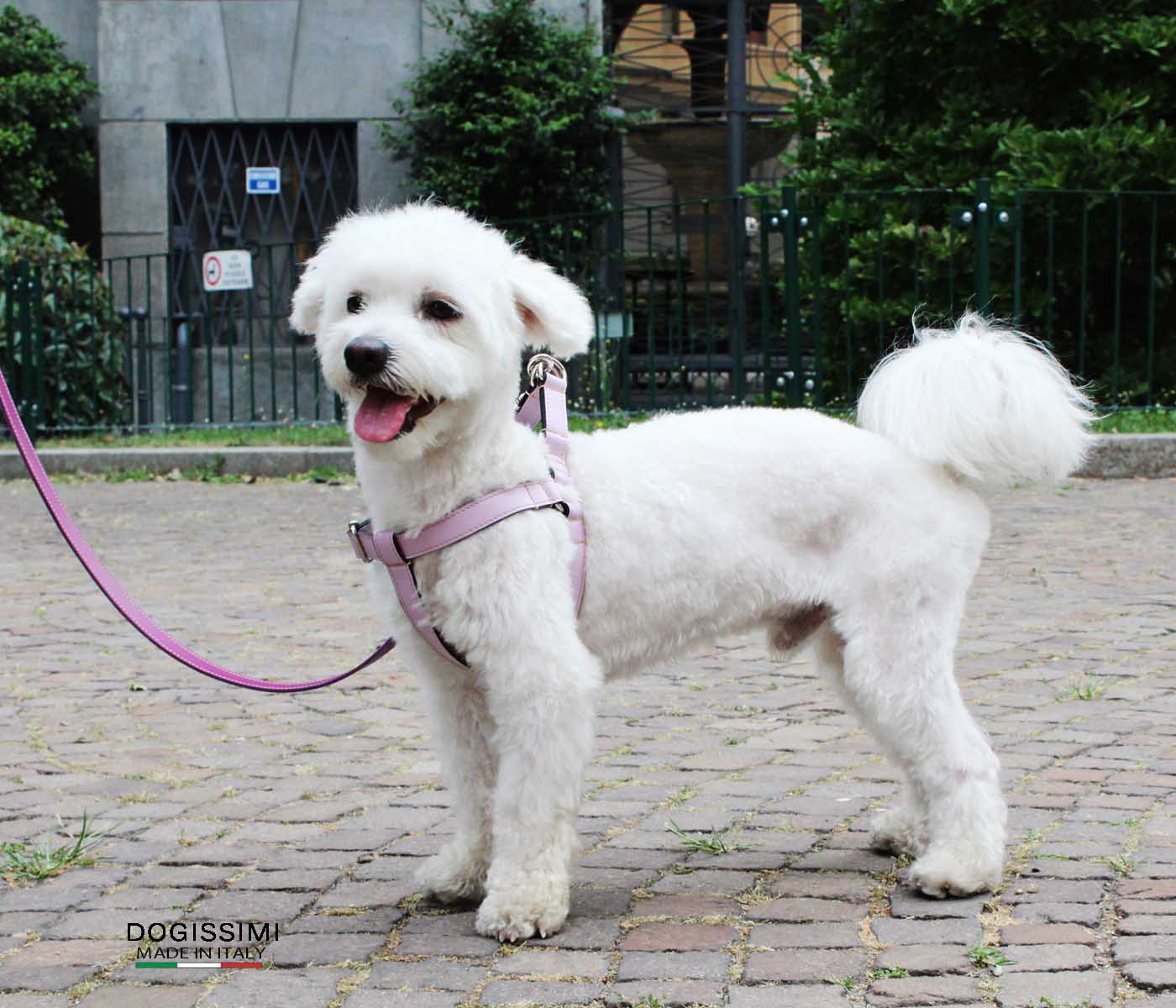 LUX. Genuine Leather Harness