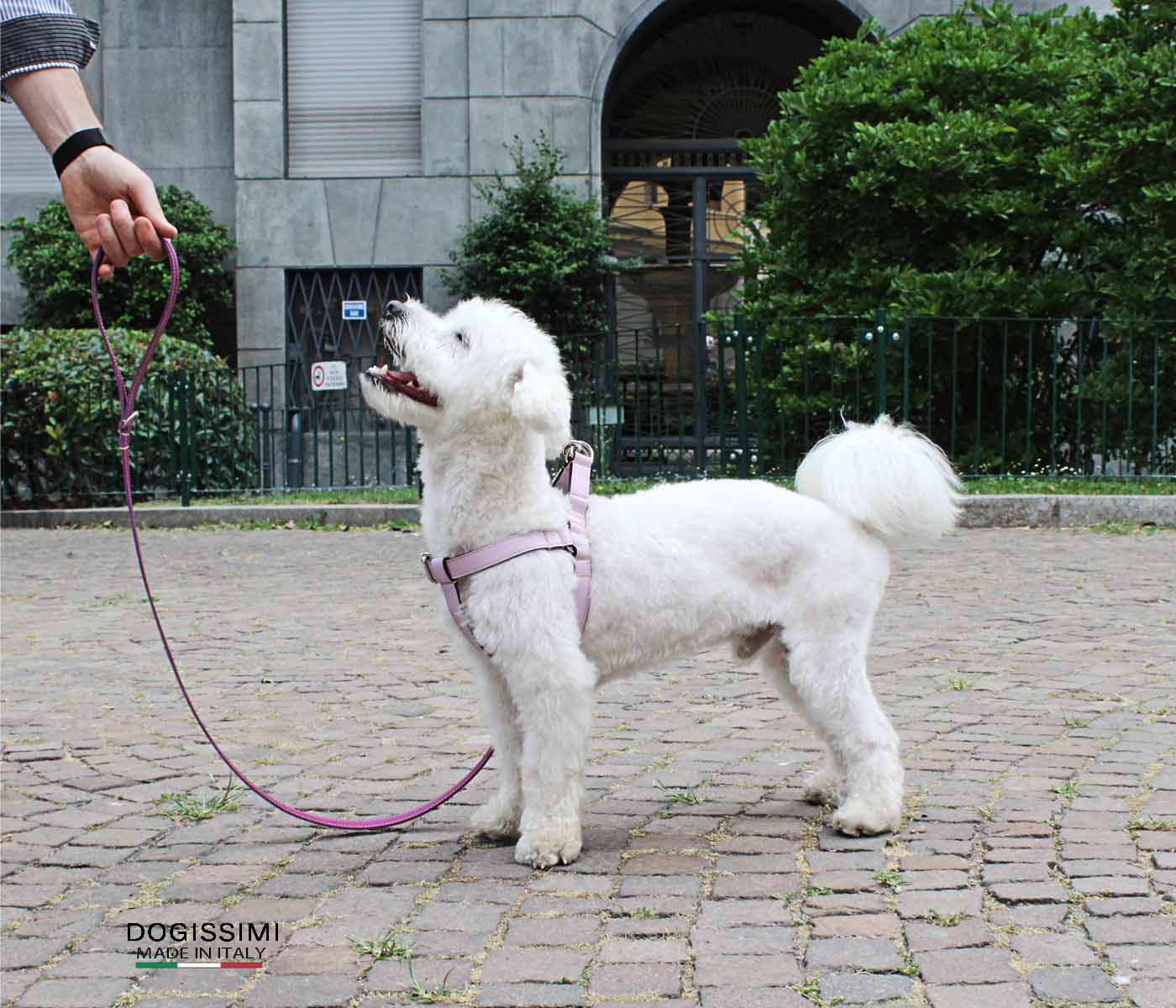 LUX. Genuine Leather Harness
