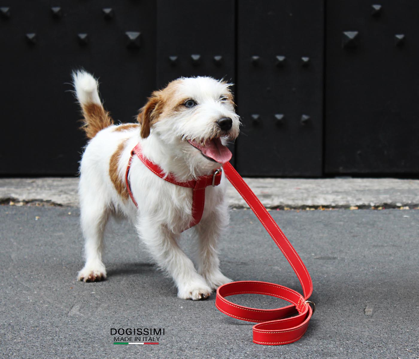LUX. Genuine Leather Harness