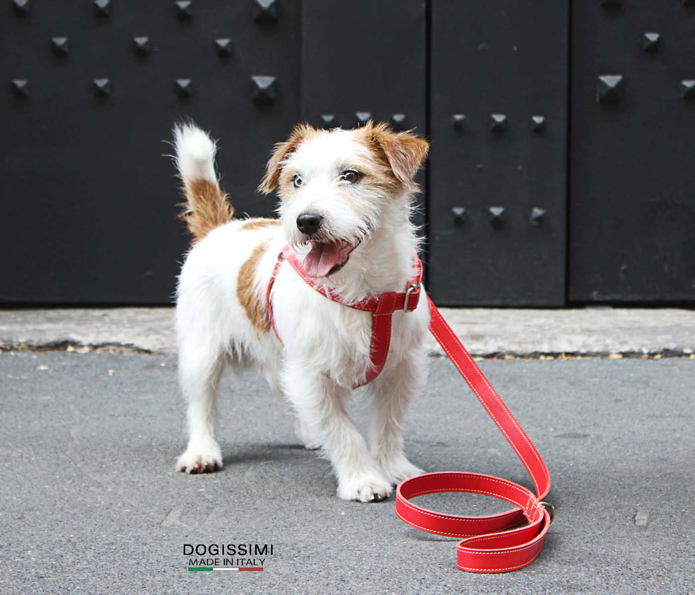 LUX. Genuine Leather Harness