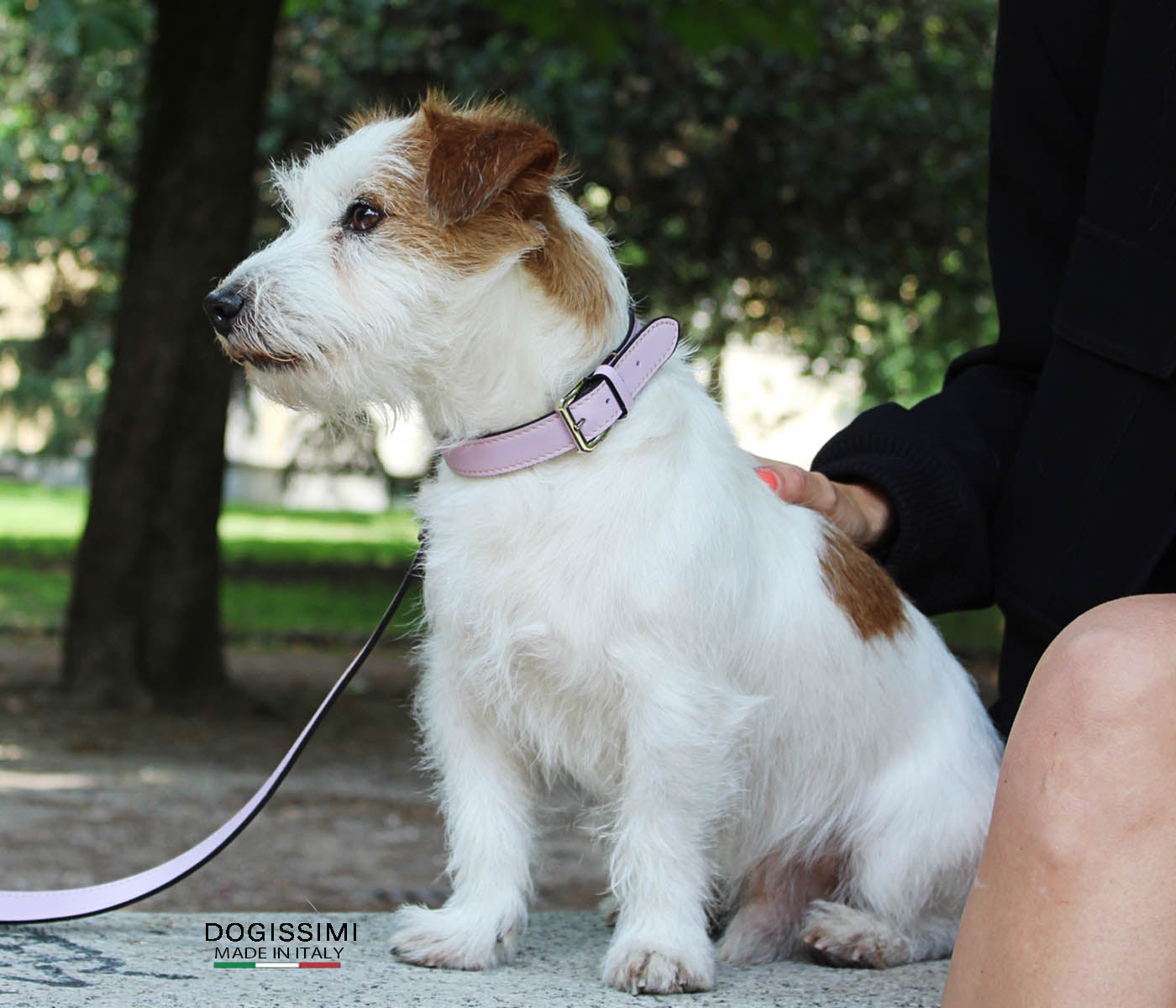 CLASSIC LUX. Genuine Leather Collar